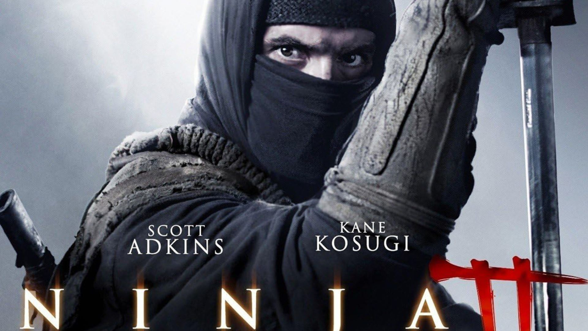Ninja: Shadow of a Tear (2013) BluRay 720p
